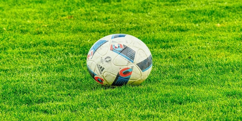 Tại sao nên lựa chọn trở thành đại lý nhà cái 8kbet Tại sao nên lựa chọn trở thành đại lý nhà cái 8kbet