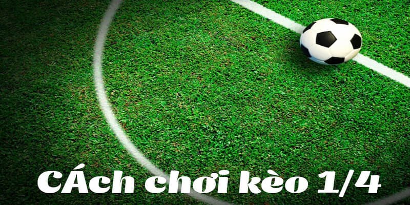Kèo 1/4 nghĩa là gì? Kinh nghiệm đánh kèo cực chuẩn xác 3 Hướng dẫn cho anh em cách đặt kèo 1/4