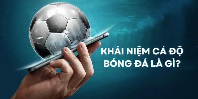 kinh nghiệm chơi cá độ bóng đá Tìm hiểu khái niệm cá độ bóng đá là gì?